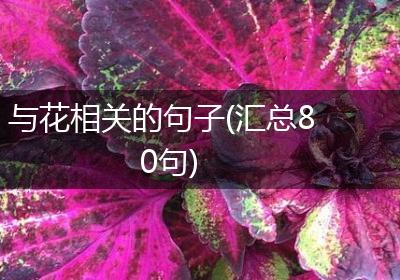 与花相关的句子(汇总80句)