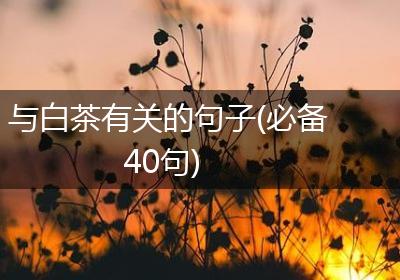 与白茶有关的句子(必备40句)