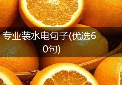 专业装水电句子(优选60句)