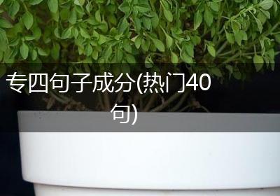 专四句子成分(热门40句)