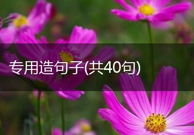 专用造句子(共40句)
