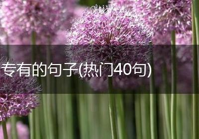 专有的句子(热门40句)