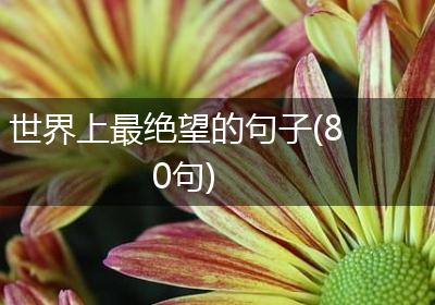 世界上最绝望的句子(80句)
