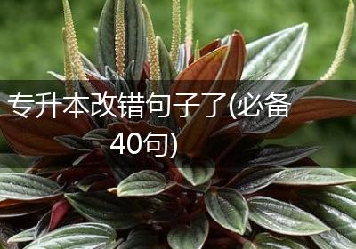专升本改错句子了(必备40句)