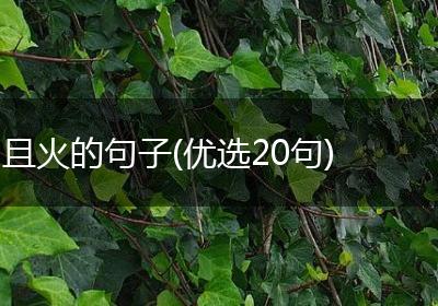 且火的句子(优选20句)