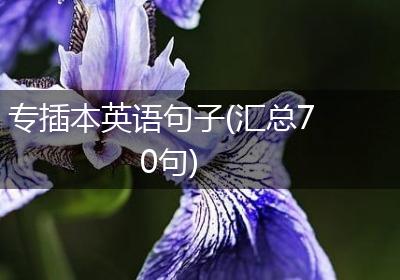 专插本英语句子(汇总70句)