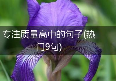 专注质量高中的句子(热门9句)