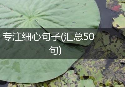 专注细心句子(汇总50句)