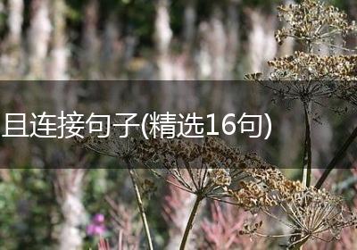且连接句子(精选16句)