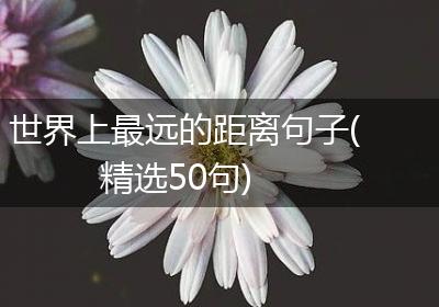 世界上最远的距离句子(精选50句)