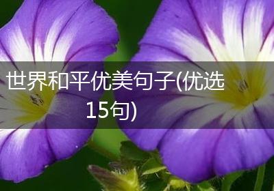 世界和平优美句子(优选15句)