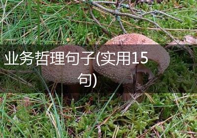 业务哲理句子(实用15句)
