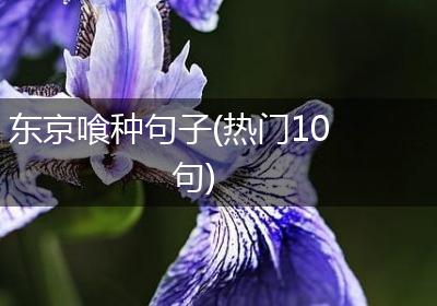 东京喰种句子(热门10句)