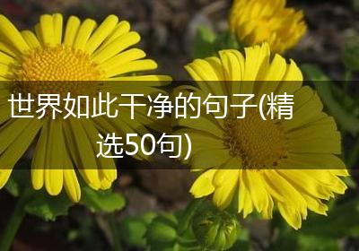 世界如此干净的句子(精选50句)