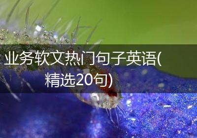 业务软文热门句子英语(精选20句)
