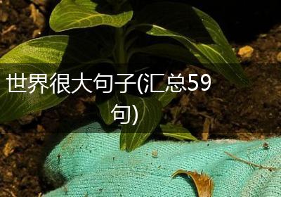 世界很大句子(汇总59句)