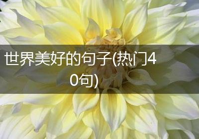世界美好的句子(热门40句)