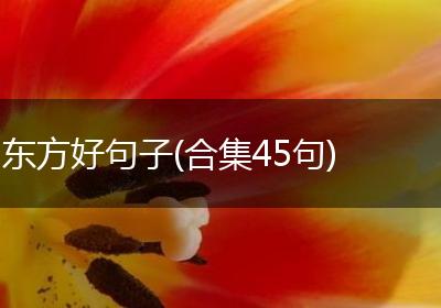 东方好句子(合集45句)