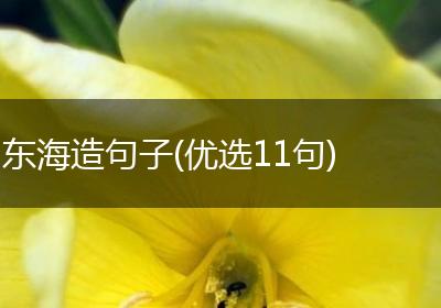 东海造句子(优选11句)