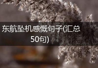 东航坠机感慨句子(汇总50句)