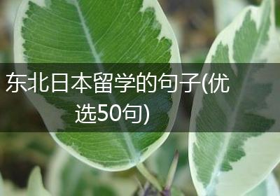 东北日本留学的句子(优选50句)