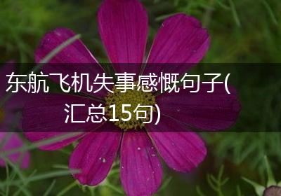 东航飞机失事感慨句子(汇总15句)