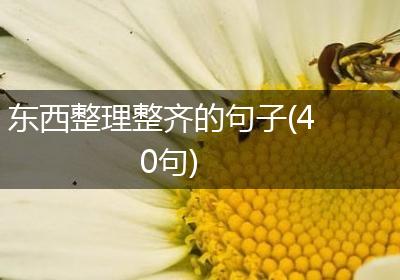 东西整理整齐的句子(40句)