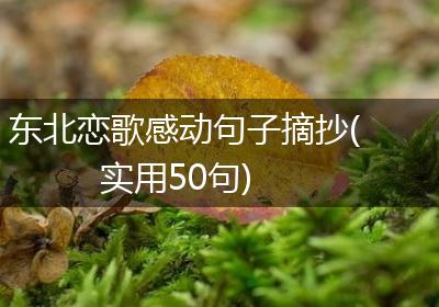 东北恋歌感动句子摘抄(实用50句)