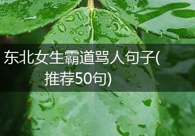 东北女生霸道骂人句子(推荐50句)