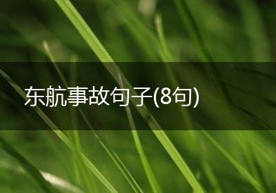东航事故句子(8句)
