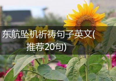 东航坠机祈祷句子英文(推荐20句)