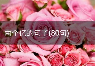 两个亿的句子(80句)