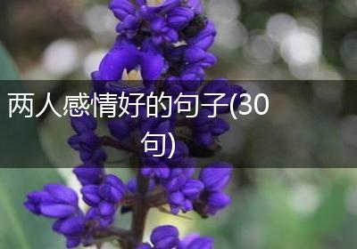 两人感情好的句子(30句)