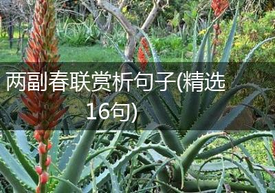 两副春联赏析句子(精选16句)