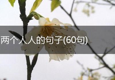 两个人人的句子(60句)