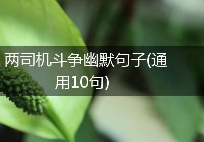 两司机斗争幽默句子(通用10句)