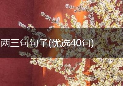 两三句句子(优选40句)
