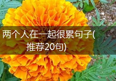 两个人在一起很累句子(推荐20句)