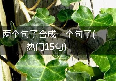 两个句子合成一个句子(热门15句)