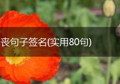 丧句子签名(实用80句)
