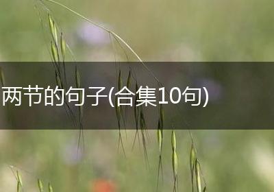 两节的句子(合集10句)