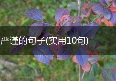 严谨的句子(实用10句)