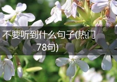 不要听到什么句子(热门78句)