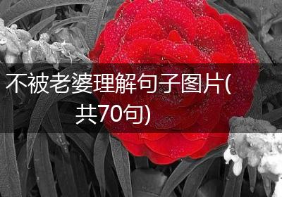 不被老婆理解句子图片(共70句)