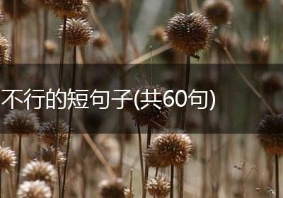不行的短句子(共60句)