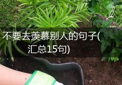 不要去羡慕别人的句子(汇总15句)