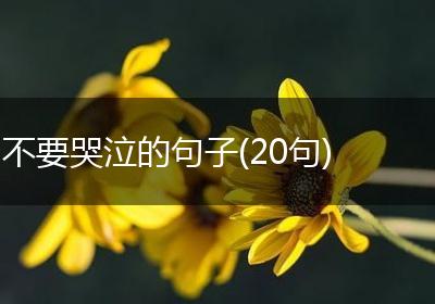 不要哭泣的句子(20句)
