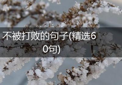 不被打败的句子(精选60句)