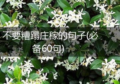 不要糟蹋庄稼的句子(必备60句)