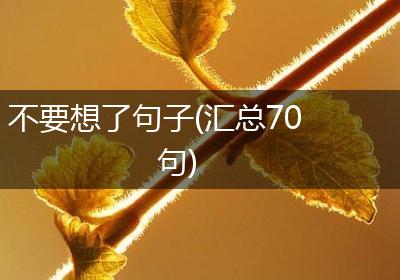 不要想了句子(汇总70句)